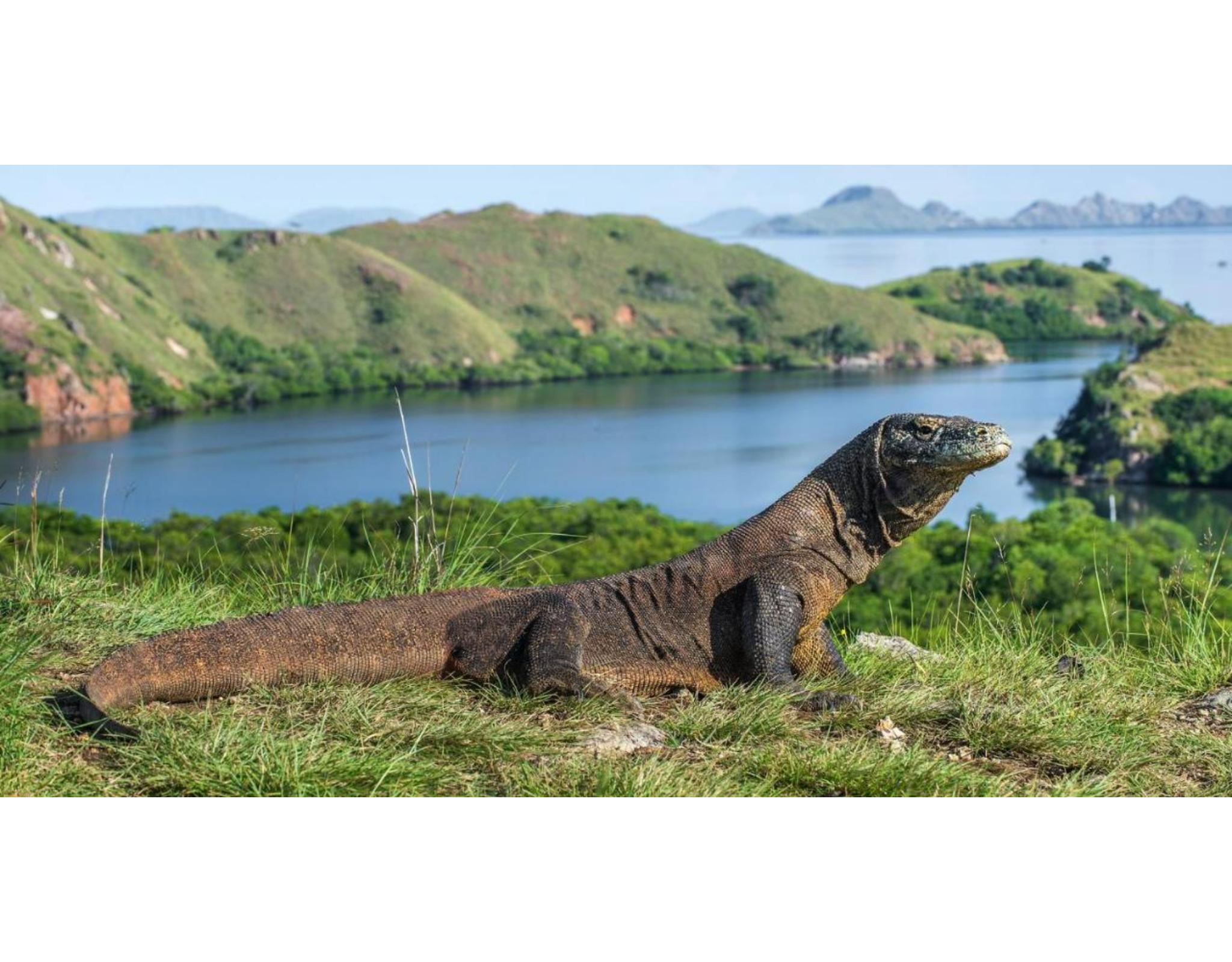 Meruorah Komodo Labuan Bajo Hotel Buitenkant foto